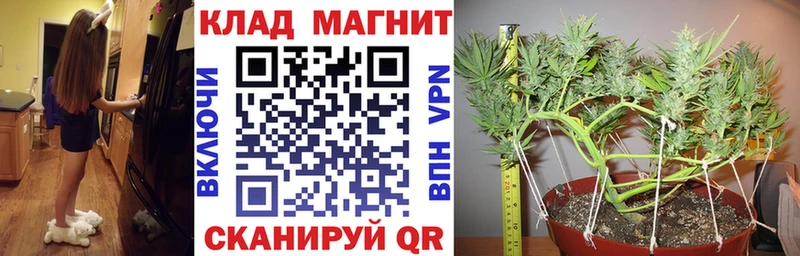 Продажа наркотиков Опочка СК  АМФЕТАМИН  Гашиш  OMG ссылка  Меф мяу мяу  Каннабис 