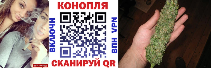 Шишки марихуана гибрид  Опочка 